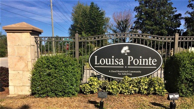 Louisa Pointe Homes For Sale in Clermont, Florida