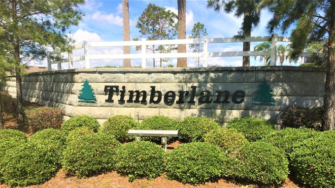 Timberlane Clermont FL Homes For Sale