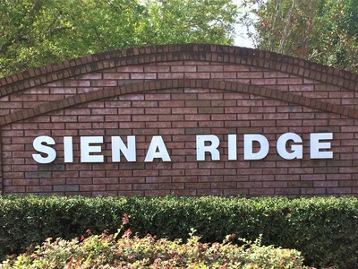 Siena Ridge Homes for Sale in Clermont, FL