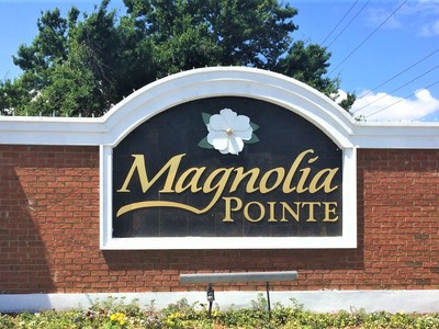 Sweetwater Ridge Townhomes At Magnolia Pointe